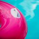 AQUASTIC ruota da nuoto per bambini ASR-076P rosa 5