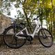 Bicicletta elettrica EcoBike LX300 48V 10,4Ah 499,2Wh X300 Greenway bianco 19