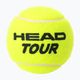 Palline da tennis HEAD Tour 4 pz. 2