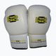 Guanti da boxe DIVISION B-2 DIV-PFG1500 Pro 3-Layer Foam bianco