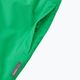 Pantaloni da sci Reima per bambini Proxima cat eye verde 5