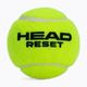 HEAD 72B Reset Polybag palline da tennis 72 pz. 2