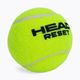 HEAD 72B Reset Polybag palline da tennis 72 pz. 3