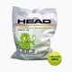 HEAD 72B Tip Green 72 palline da tennis per bambini verdi