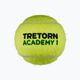 Palline da tennis Tretorn ST1 3T519 36 pezzi verde accademia 2