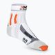 Calzini da corsa X-Socks Marathon Energy 4.0 da uomo, bianco artico/arancione 3