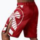 Pantaloncini da allenamento rossi Hayabusa Icon Fight 4