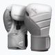 Guanti da boxe Hayabusa T3 bianco/grigio