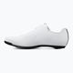 Scarpe da strada da uomo Fizik Tempo Decos Carbon bianco/bianco 9