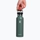 Bottiglia turistica Hydro Flask Standard Flex 620 ml abete 4