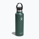 Bottiglia termica Hydro Flask Standard Flex Straw 620 ml abete 2