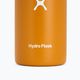 Bottiglia termica fossile Hydro Flask Wide Flex Sip 355 ml 3