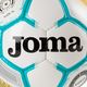 Joma Egeo bianco/fluor turchese calcio taglia 5 3
