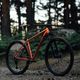 Orbea Onna 20 29 2022 rosso/verde mountain bike 20