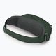 Marsupio Osprey Daylite Waist 2 l verde bely/verde canopy 3