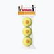 Palline da tennis Wilson Starter Orange Tball per bambini 3 pezzi giallo WRT137300