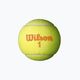 Palline da tennis Wilson Starter Orange Tball per bambini 3 pezzi giallo WRT137300 2