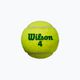 Palline da tennis per bambini Wilson Starter Play Green 4 pezzi giallo WRT137400 3