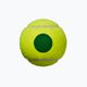 Palline da tennis per bambini Wilson Starter Play Green 4 pezzi giallo WRT137400 4