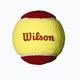 Palline da tennis Wilson Starter Red Tball per bambini 3 pezzi giallo e rosso 2000031175 2