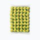 Palline da tennis Wilson Starter Orange Tball per bambini 48 pezzi giallo WRT13730B