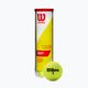 Palline da tennis Wilson Champ Xd Tball 4 pezzi giallo WRT110000