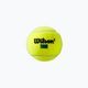 Palline da tennis Wilson Tour Premier All Ct 3 pezzi giallo WRT109400 3