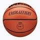 Wilson Evolution basket marrone taglia 6 5