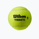 Palline da tennis Wilson Triniti TBall 4 pezzi giallo WRT115200+ 2