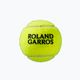 Palline da tennis Wilson Roland Garros All Ct 3 pezzi giallo WRT126400 3
