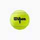 Palline da tennis Wilson Roland Garros Clay Ct 4 pezzi giallo WRT115000 3