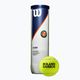 Palline da tennis Wilson Roland Garros All CT 4 pz. giallo