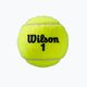 Palline da tennis Wilson Roland Garros All Ct 4 Ball 2Pk 8 pezzi giallo WRT116402 4