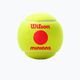 Palline da tennis Wilson Minions Stage 3 per bambini 3 pezzi giallo WR8202701 3