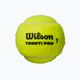 Palline da tennis Wilson Triniti Pro Tball 4 pezzi giallo WR8204801001 2