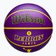 Wilson NBA Player Icon Outdoor basket Lebron viola dimensioni 7