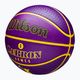 Wilson NBA Player Icon Outdoor basket Lebron viola dimensioni 7 3