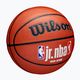 Wilson NBA JR Fam Logo basket Indoor outdoor marrone taglia 6 2
