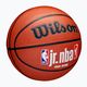 Pallacanestro da bambino Wilson NBA JR Fam Logo Indoor Outdoor marrone taglia 5 2