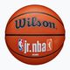 Wilson NBA JR Fam Logo Autentico Outdoor marrone basket taglia 6