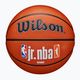 Pallacanestro per bambini Wilson NBA JR Fam Logo Autentico Outdoor marrone taglia 5