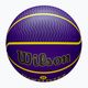 Wilson NBA Player Icon Outdoor basket Lebron blu dimensioni 7 4