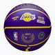 Wilson NBA Player Icon Outdoor basket Lebron blu dimensioni 7 6