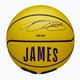 Pallacanestro Wilson NBA Player Icon Mini Lebron giallo taglia 3 bambini 4