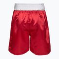 Pantaloncini da allenamento da uomo Everlast Trunks Pro rosso/bianco 2