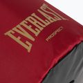 Everlast Prospect 2 Kit boxe con sacco pesante rosso/oro 5