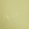 Blocco per yoga Gaiam Yoga cool macha 5