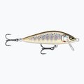 Rapala Countdown Elite CDE55 GDBT wobbler dorato per trote fario