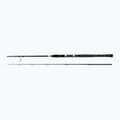 Penn Legion Cat Silver Boat Spin 2 Sec nero/argento canna da pesca per pesci gatto