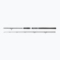 Canna da pesca Penn Legion Cat Silver AlLRound 2 Sec nero/argento